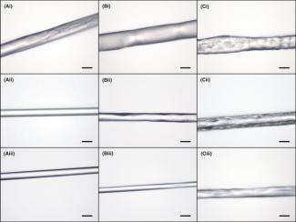 Light microscopy images of fibre at 400X magnification.